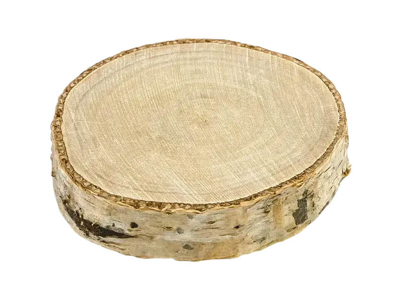 6 Segnaposto in legno