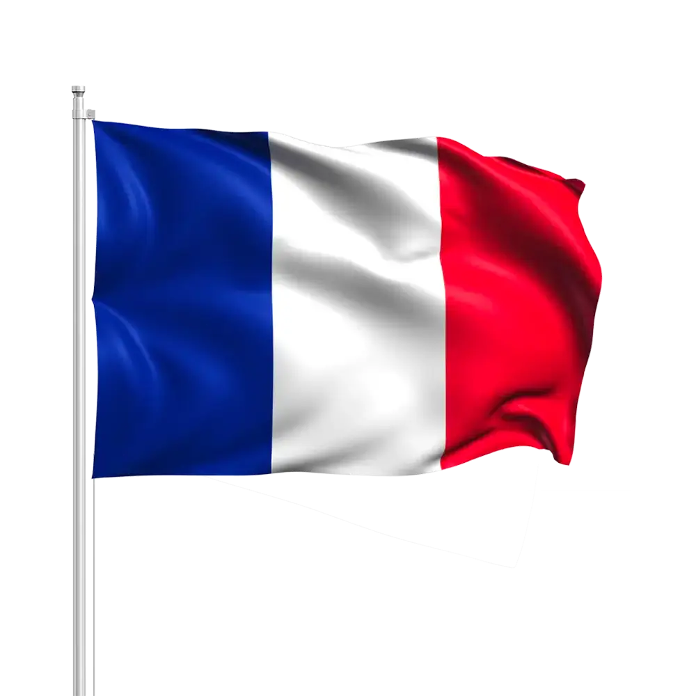 Bandiera Francia con Baguette 14x21cm