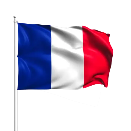 Bandiera Francia con Baguette 14x21cm