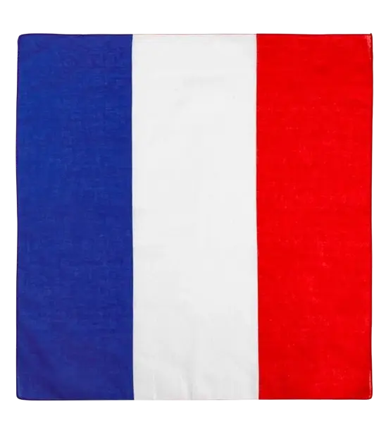 Bandana Francia 55 cm in cotone - Supporter e costume