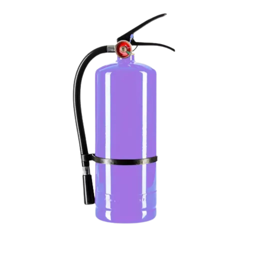Estintore a polvere Holi Violet - 5 kg