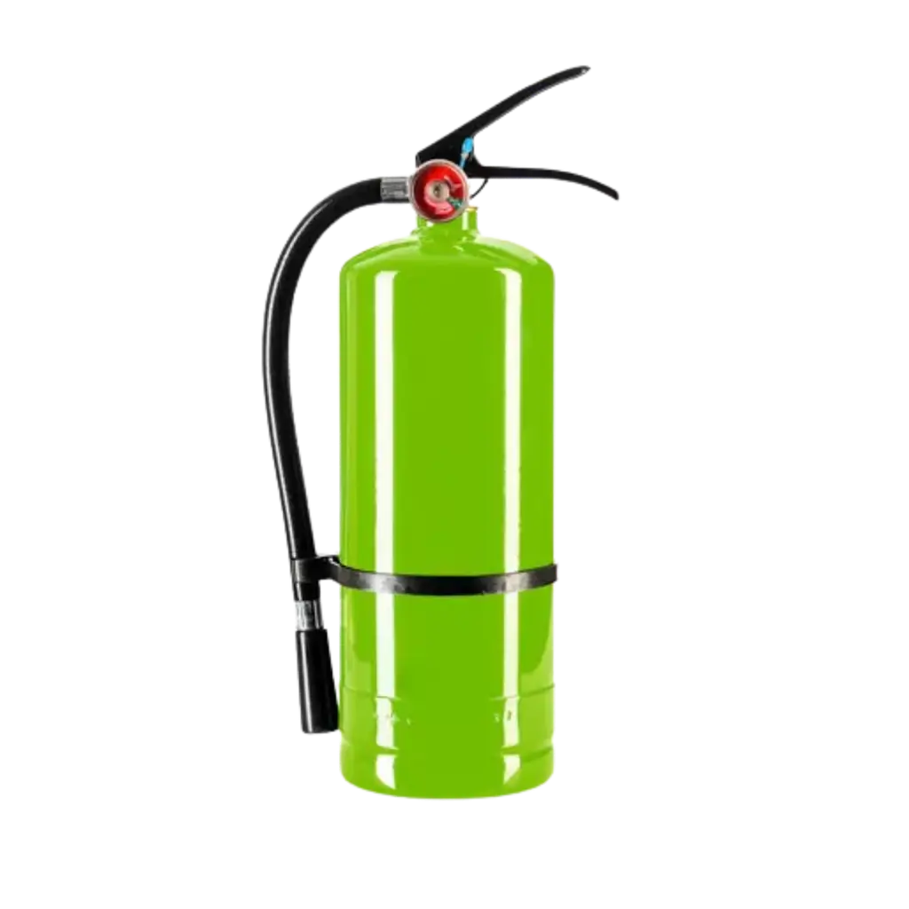Estintore a polvere Holi Verde - 5 kg
