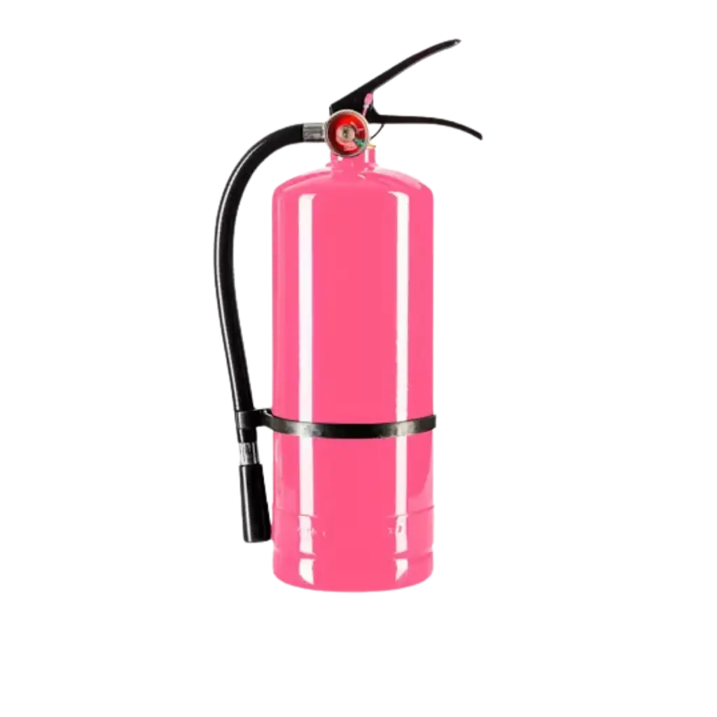 Estintore a polvere Holi Rose - 5 kg
