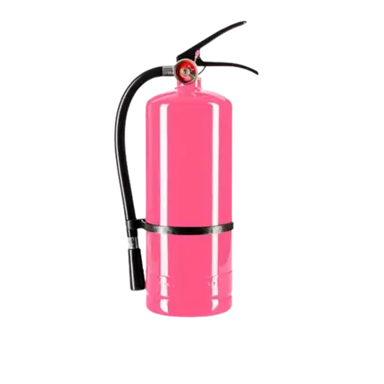 Estintore a polvere Holi Rose - 5 kg