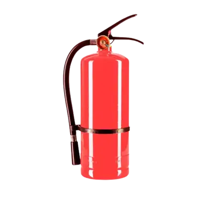 Estintore a polvere Holi Rosso - 5 kg