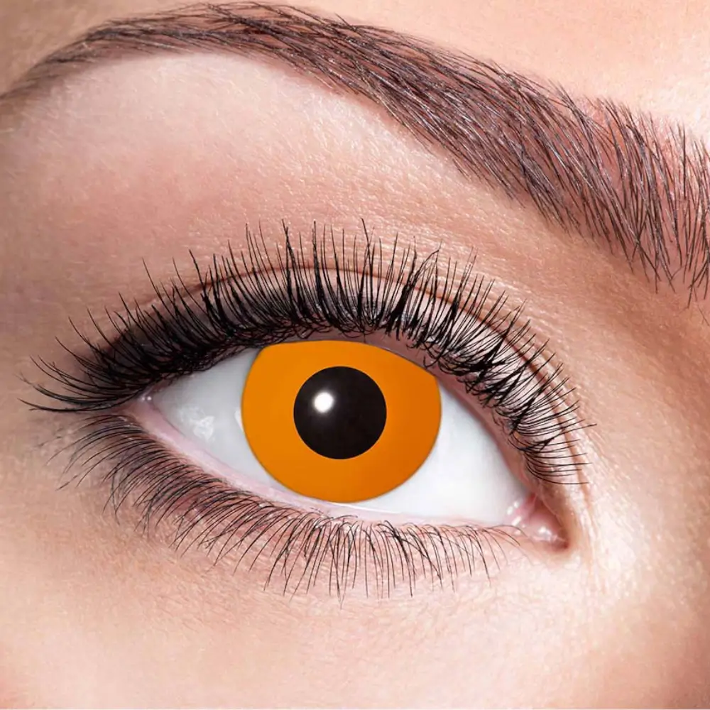 Lenticchie arancioni a forma di zucca – Lenticchie di Halloween