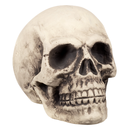 Testa di morto gigante 27 x 27 x 38 cm – Decorazione di Halloween