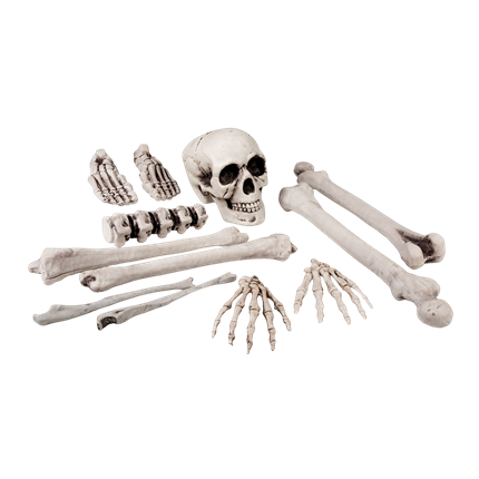 Set di 12 teschi e ossa da 23 cm – Decorazioni di Halloween