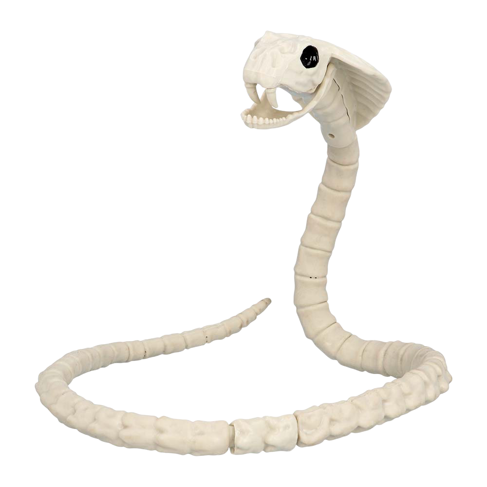 Scheletro di serpente 102 cm – Decorazione di Halloween