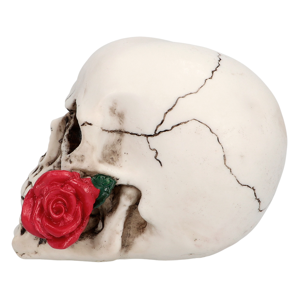Teschio con fiore 10 x 10,5 x 13 cm – Decorazione di Halloween