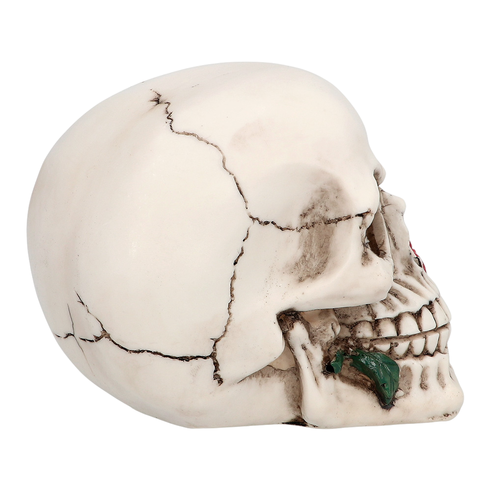 Teschio con fiore 10 x 10,5 x 13 cm – Decorazione di Halloween