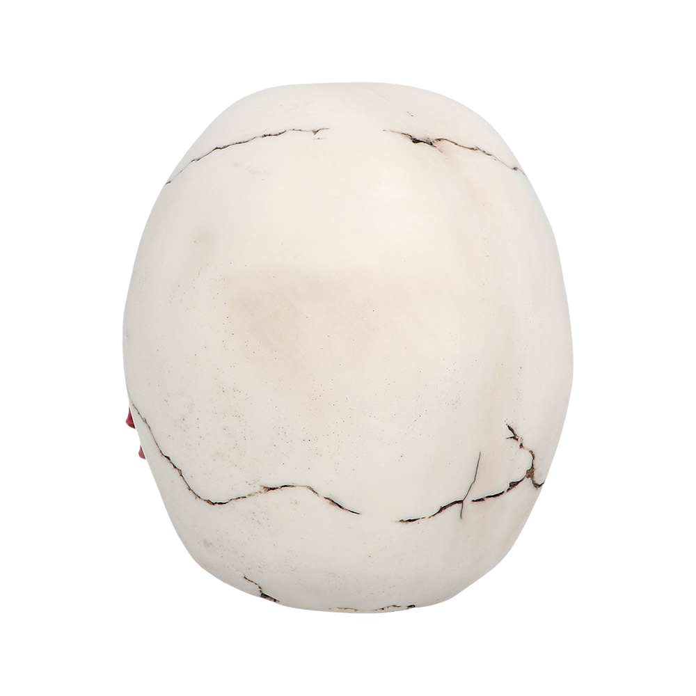 Teschio con fiore 10 x 10,5 x 13 cm – Decorazione di Halloween