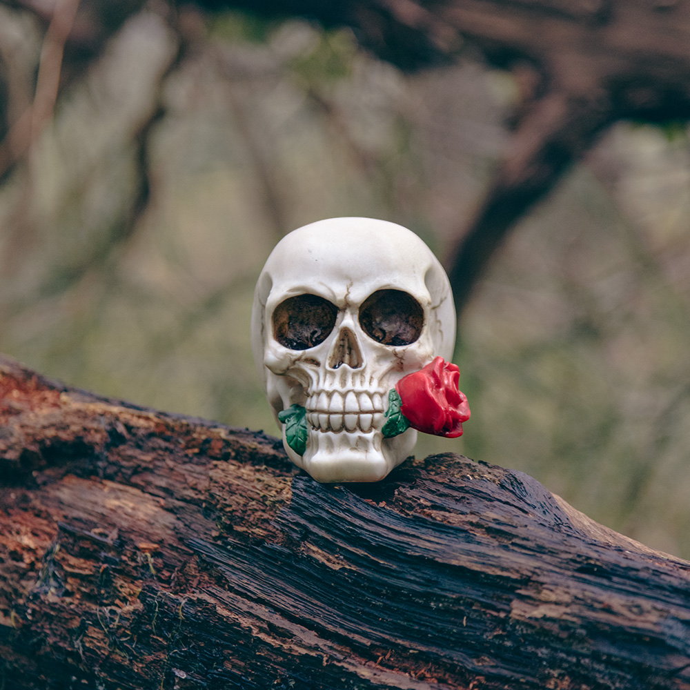 Teschio con fiore 10 x 10,5 x 13 cm – Decorazione di Halloween