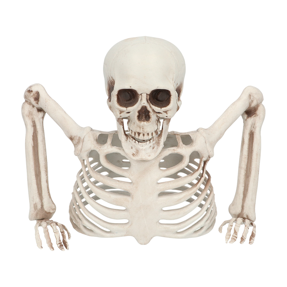 Scheletro che spunta dal terreno, 20 cm – Decorazione di Halloween