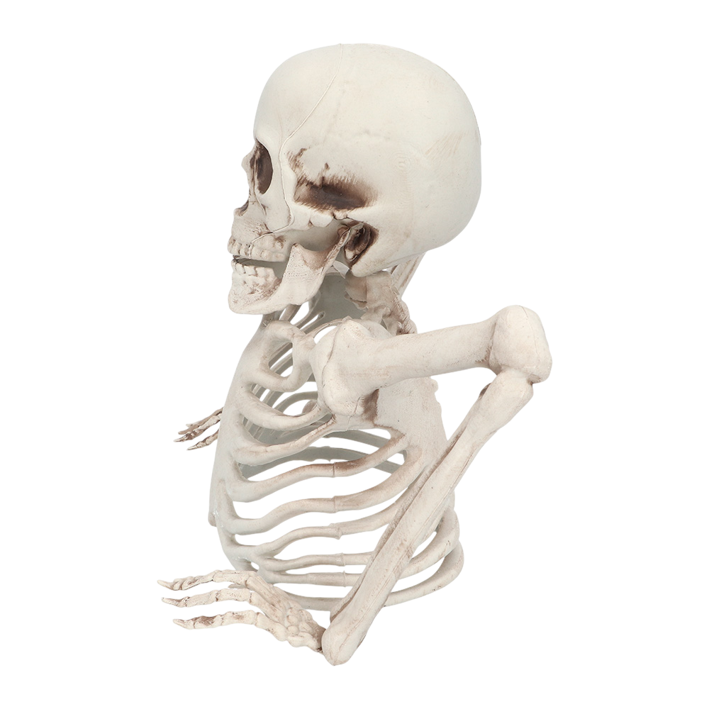 Scheletro che spunta dal terreno, 20 cm – Decorazione di Halloween