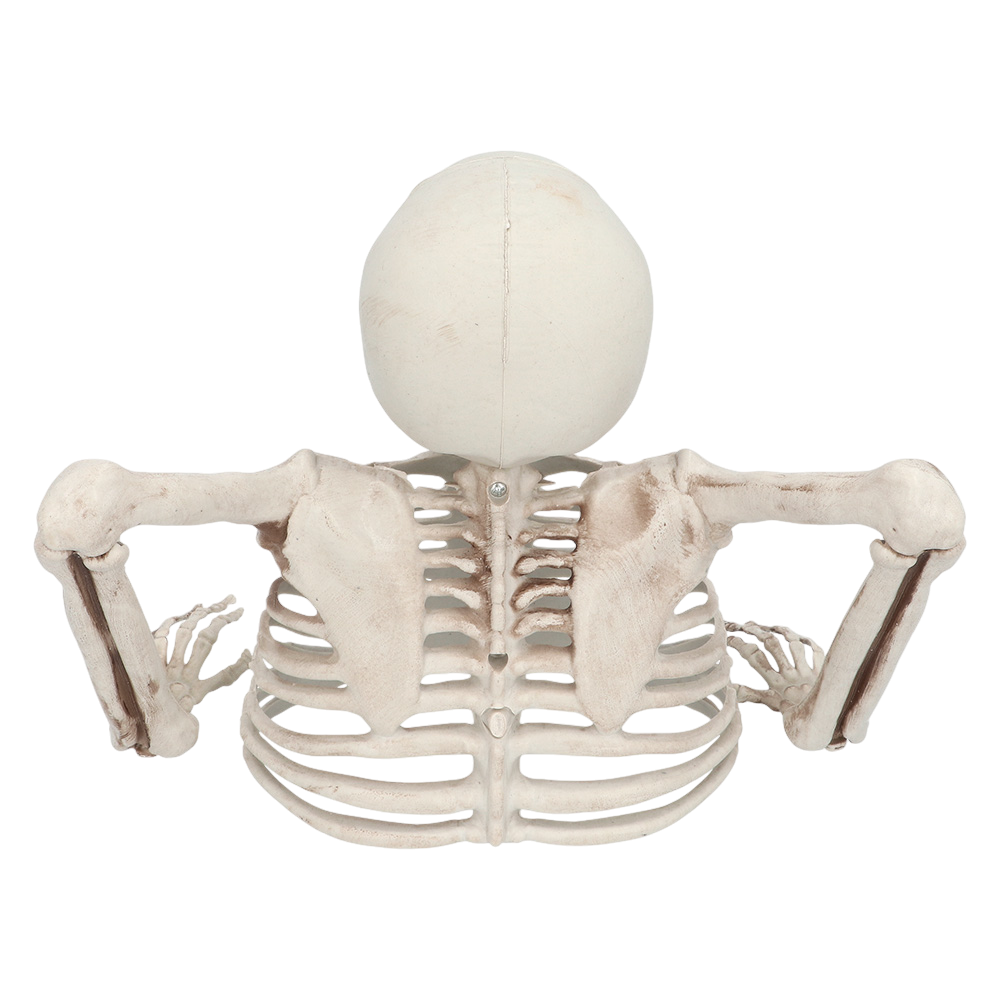 Scheletro che spunta dal terreno, 20 cm – Decorazione di Halloween