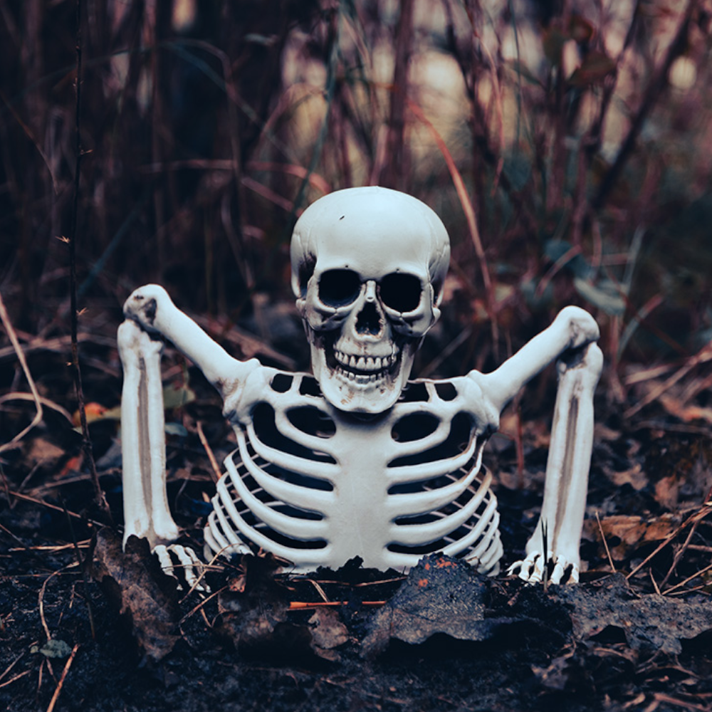 Scheletro che spunta dal terreno, 20 cm – Decorazione di Halloween