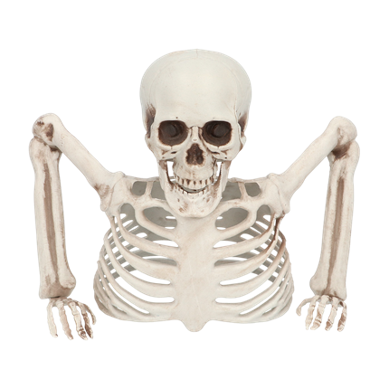 Scheletro che spunta dal terreno, 20 cm – Decorazione di Halloween