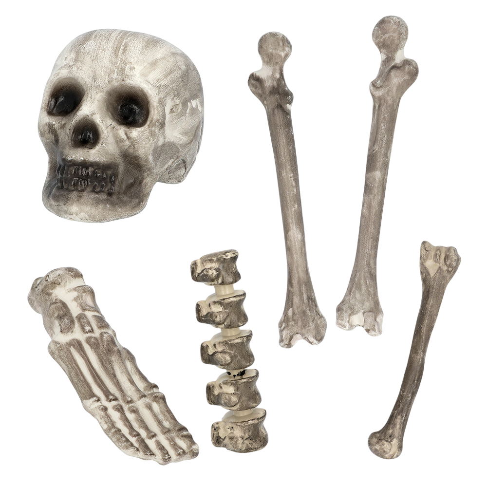 Set di 6 teschi e ossa – Decorazioni di Halloween