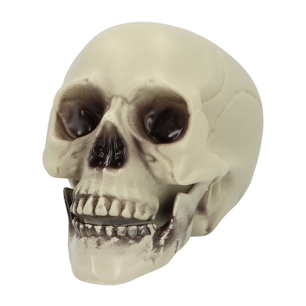 Teschio decorativo 15 x 20 x 16 cm – Halloween