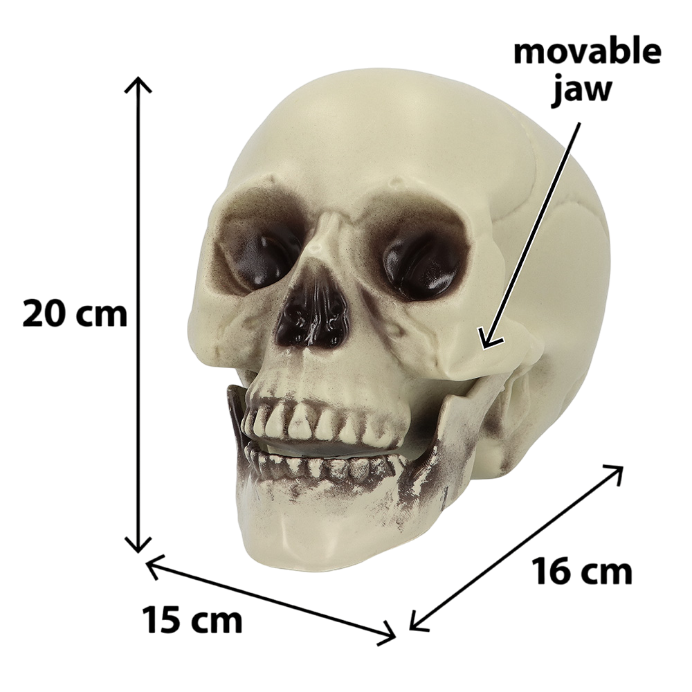 Teschio decorativo 15 x 20 x 16 cm – Halloween