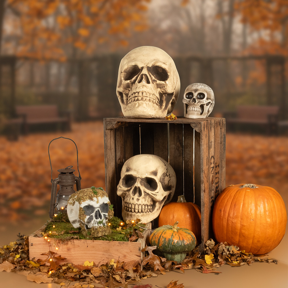 Teschio decorativo 15 x 20 x 16 cm – Halloween