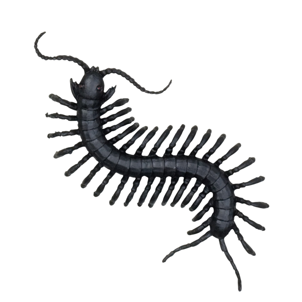Set di 6 creature spaventose – Decorazioni di Halloween
