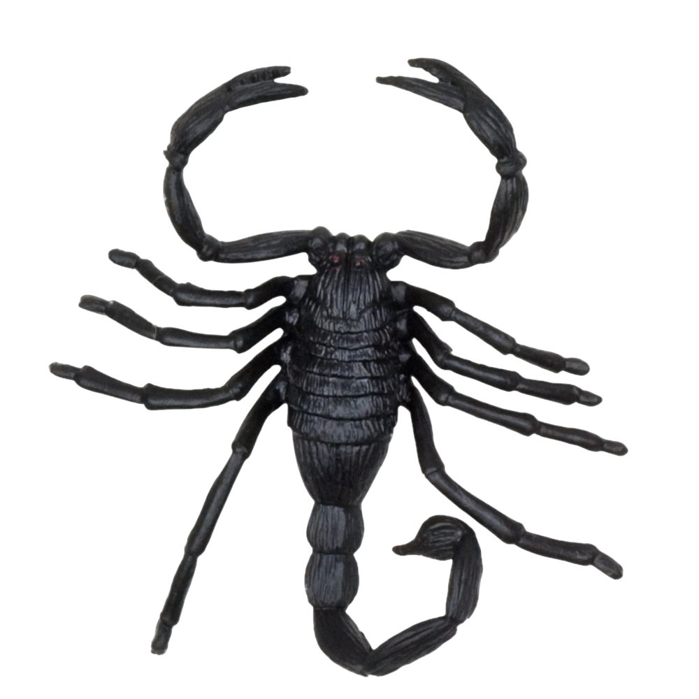 Set di 6 creature spaventose – Decorazioni di Halloween