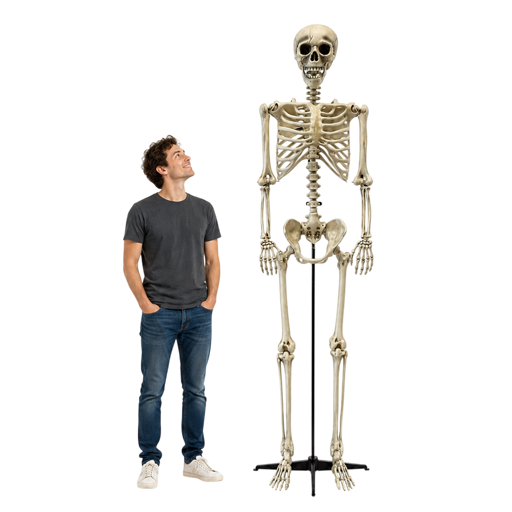Scheletro gigante da 240 cm – Decorazione di Halloween
