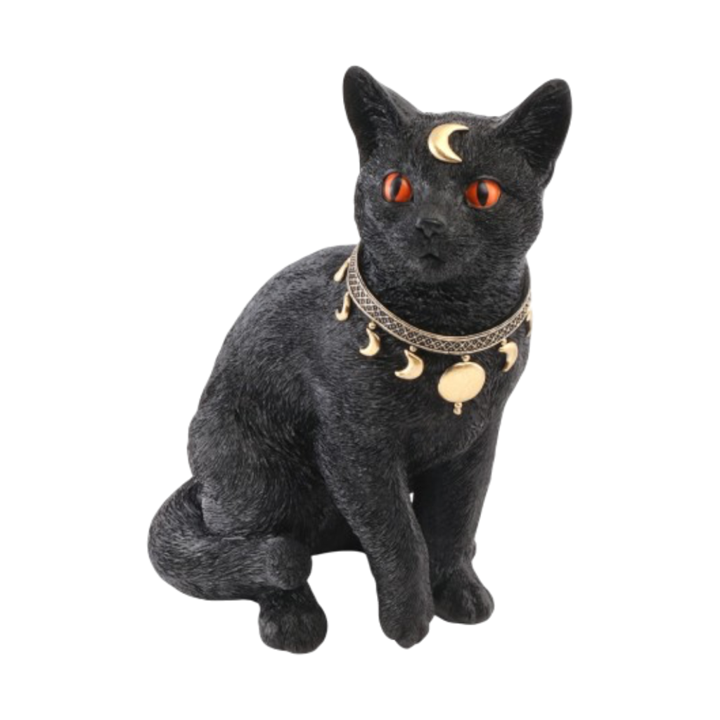 Gatto nero mistico 28 cm – Decorazione di Halloween
