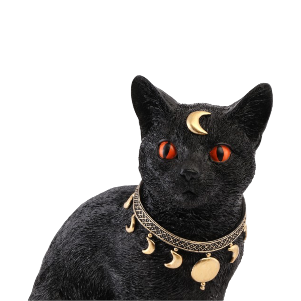 Gatto nero mistico 28 cm – Decorazione di Halloween