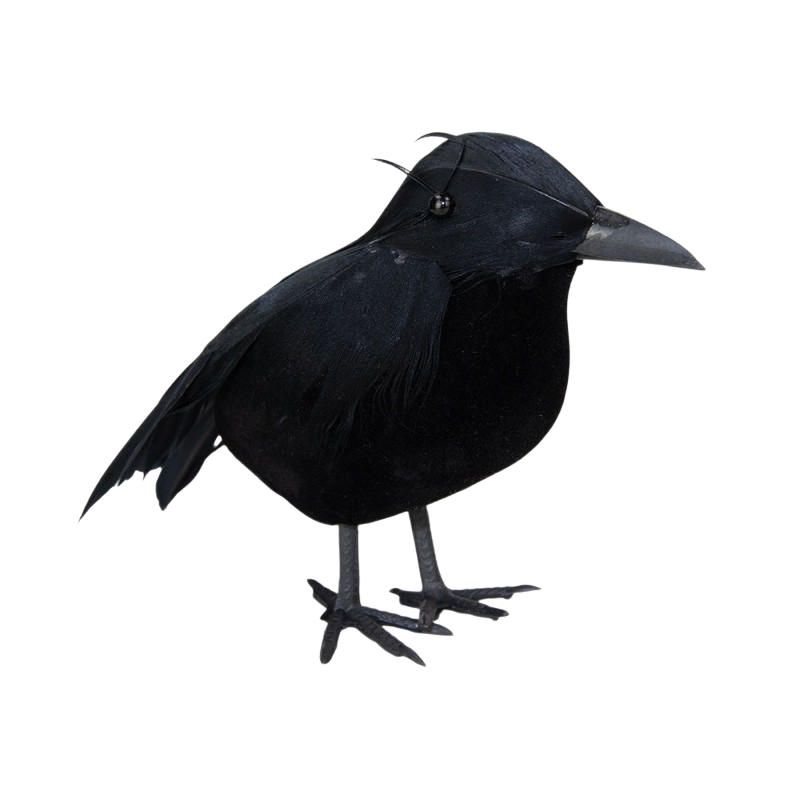 Corvo decorativo – Decorazioni di Halloween
