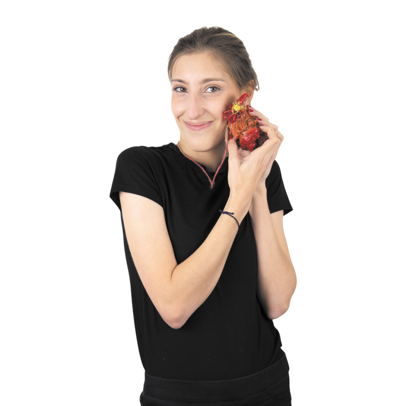 Collana con gallo decapitato – Accessorio di Halloween
