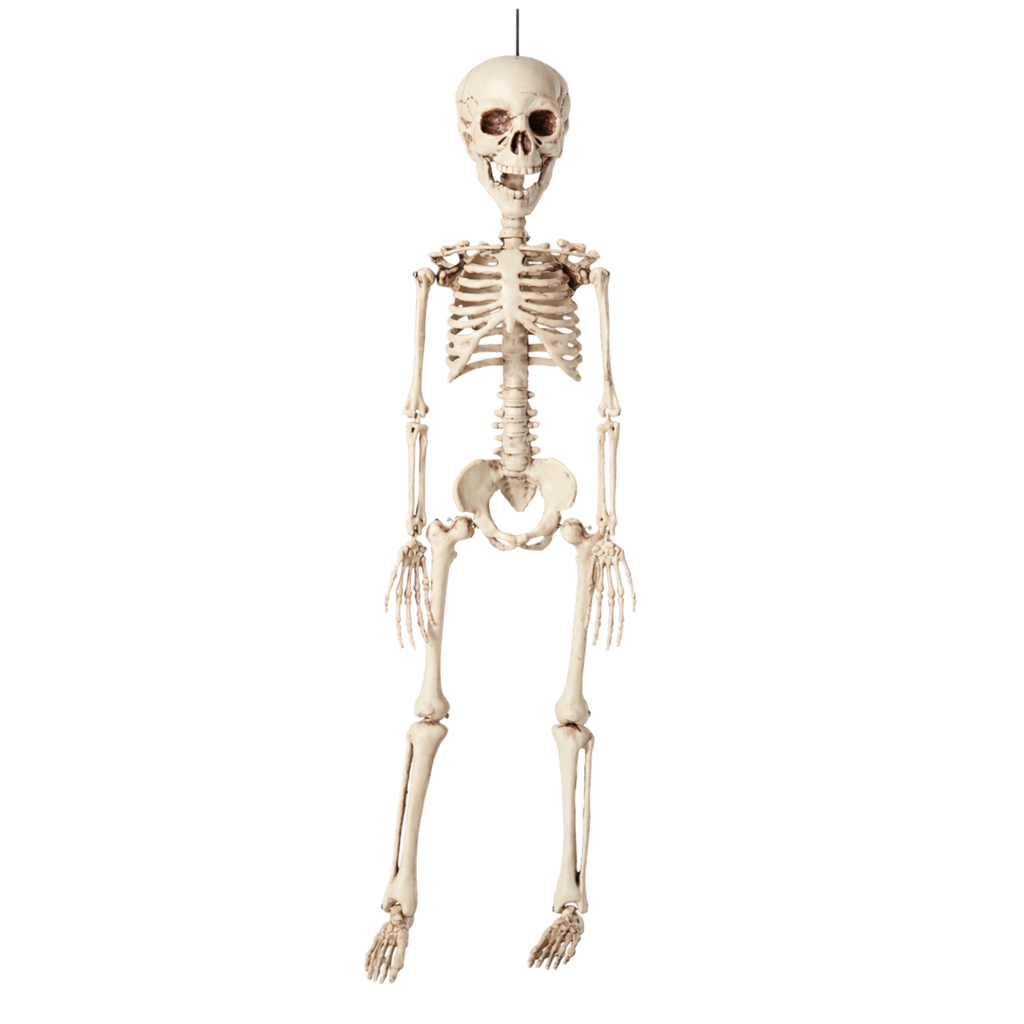 Scheletro da appendere 40 cm – Decorazione di Halloween