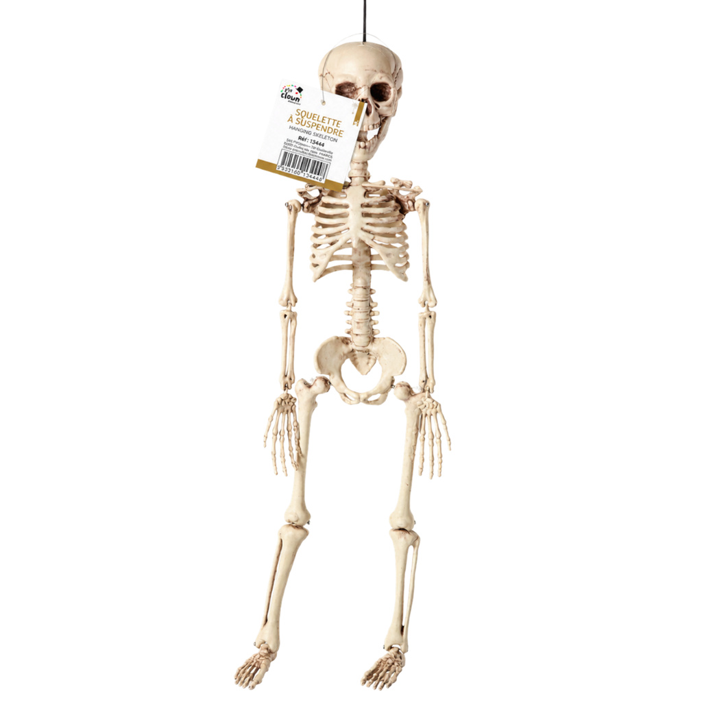Scheletro da appendere 40 cm – Decorazione di Halloween