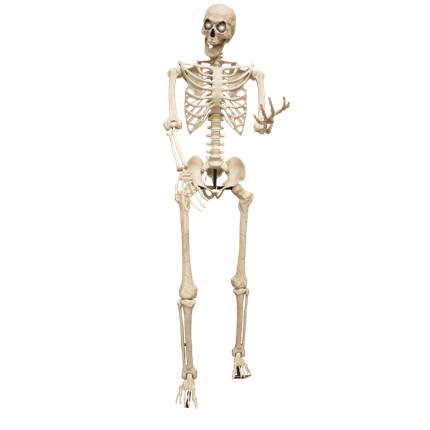 Scheletro gigante luminoso da 3,18 m – Decorazione di Halloween XXL